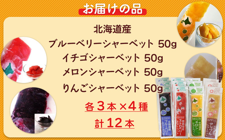 北海道 豊浦町 シャーベット 4種 味くらべ 各3本ずつ（ ブルーベリー、いちご、メロン、りんご ） 【 ふるさと納税 人気 おすすめ ランキング 果物 メロン めろん  果物 いちごイチゴ 苺 イチ