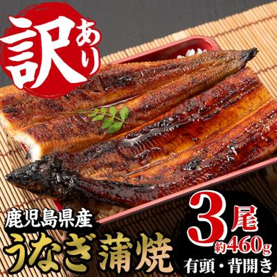 ふるさと納税 いちき串木野市 【訳あり】国産うなぎ(鹿児島県産うなぎ)蒲焼 3尾(約460g超え)【60日以内配送】