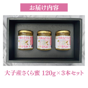 【2026年10月～2027年4月発送】天然はちみつ【大子のさくら蜜 120g×3本セット】|茨城県 大子町 奥久慈 ハチミツ 蜂蜜 プレゼント 包装(BG004)
