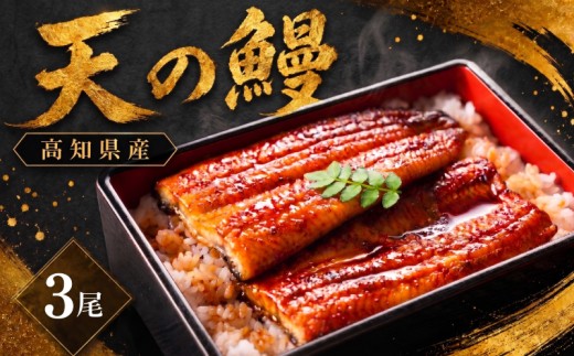 鰻 蒲焼 3尾 セット | 土佐料理司 うなぎ ウナギ 蒲焼き かばやき 丼 おすすめ 丑の日 贈答用 父の日 母の日 内祝い 出産祝い 結婚祝い お祝い 極上 御中元 ギフト用 家庭用 贈り物 極上 真空 人気 三代目天の鰻 高知県 南国市
