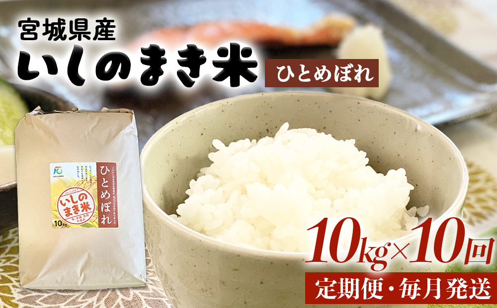 令和６年産 米 ひとめぼれ 定期便 10kg × 10回 お米 精米 白米