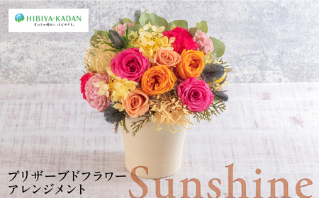 プリザーブドフラワーアレンジメント Sunshine 花 ギフト ドライフラワー インテリア アレンジ フラワー 【株式会社日比谷花壇】 [AKBO014]