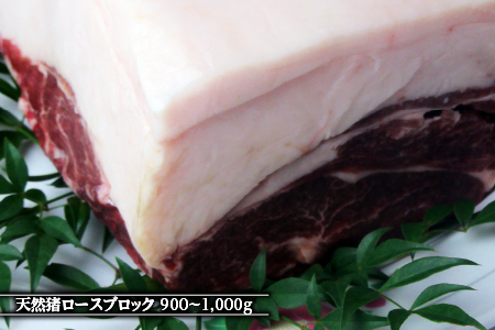 江の川shishi ブロックセット 計2.7kg～3kg 【AI-3】｜送料無料 国産 ジビエ 天然ジビエ お肉 肉 いのしし肉 イノシシ肉 猪肉 天然猪 モモ バラ ロース ブロック肉 ブロック ブ