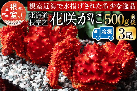 【北海道根室産】花咲がに500g前後×3尾(計1.5kg) A-54013