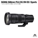 【ふるさと納税】SIGMA 500mm F5.6 DG DN OS | Sports（Lマウント、ソニーEマウント）