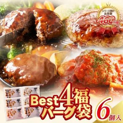 Z61-34 寄附額改定↓↓ Best4バーグ 4種 6個 セット ハンバーグ