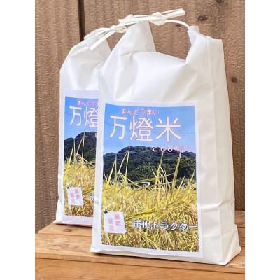 ふるさと納税 西尾市 【令和7年産】＜万燈米＞【こしひかり 4.5kg×2袋 】・I027-27