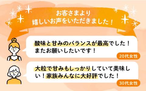 【2025年1月下旬～3月下旬発送】ココロファーム の 濃厚あまおう 285g × 4P 約1,140g [先行予約] 《豊前市》[VAE022] ※北海道・沖縄・離島 配送不可