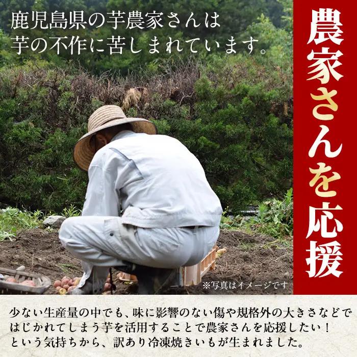 定期便 3回 訳あり 紅はるか 冷凍 焼きいも 計7.2kg 800g×3袋×3回 規格外 小ぶり 不揃い 【末永商店】No.1345 