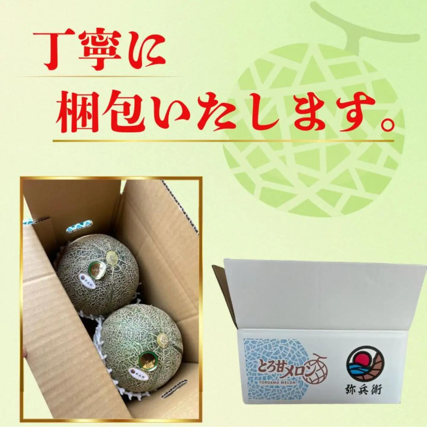 アムスメロン 2玉 メロン 【6月下旬～7月中旬発送】