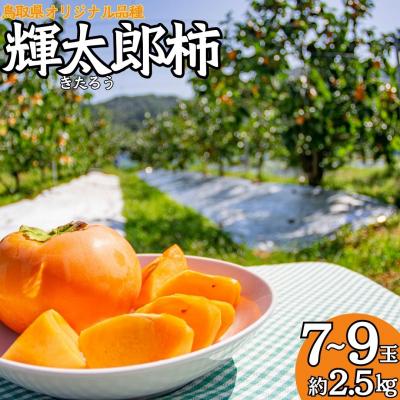 ふるさと納税 湯梨浜町 輝太郎柿7〜9玉(21M.)