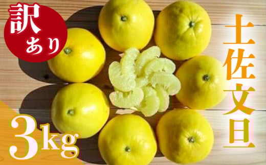 【早期予約 2026年2月下旬より順次発送】 訳あり 文旦 3kg 4～7玉 家庭用 ブンタン ぶんたん 分担 ぼんたん 大小混合 不揃い 規格外 わけあり 家庭用 文旦 高知県産 果物 フルーツ 柑橘 みかん 高知県 須崎市