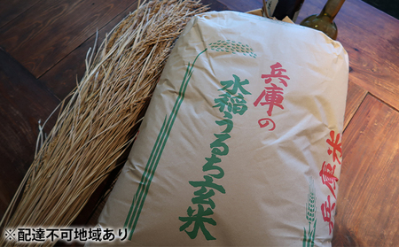 《令和5年産 特別栽培米》日本酒に合う ヒノヒカリ 玄米 30kg 精米歩合選択可[ 米 お米 こめ コメ] 無洗米  玄米30kg