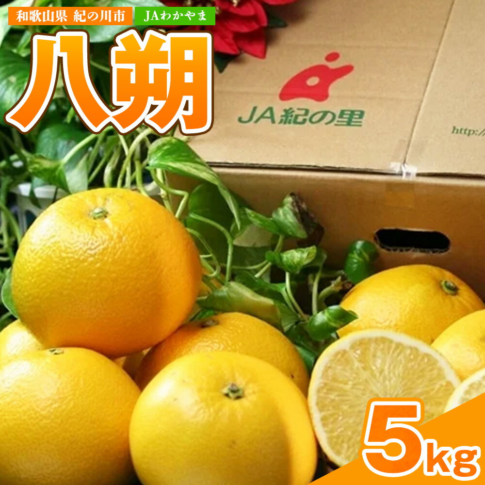 【ふるさと納税】八朔約5kg(3L-Lサイズ) 【先行予約】JAわかやま 紀の里地域本部 《2027年1月上旬-3月末頃出荷》 和歌山県 紀の川市 果物 フルーツ 柑橘 はっさく 送料無料 ハッサク JA 農協 ビタミンC