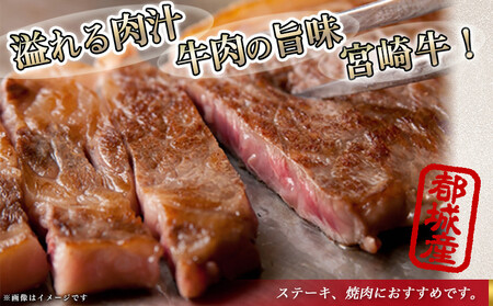 【お中元】宮崎牛サーロインブロック1kg_AF-2501-SG_(都城市) サーロインブロック肉 1キロ 肉のながやま 自社飼育 牛肉 焼肉 ステーキ すき焼き キャンプ お中元 夏ギフト