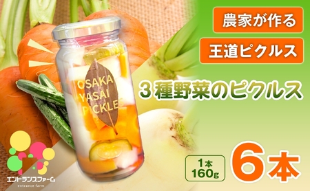 ＜農家が作る 王道ピクルス！＞3種野菜のピクルス(6本) 常温 常温保存 酢漬け 漬物 おかず サイドディッシュ ヘルシー カラフル おつまみ 【m104-05-D】【エントランスファーム】