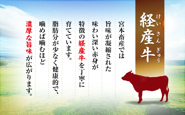 【12回定期便】【迷ったらこれ！】九州産黒毛和牛 国産豚 切り落とし 計24kg（約2kg×12回）＜宮本畜産＞ [CFA024]