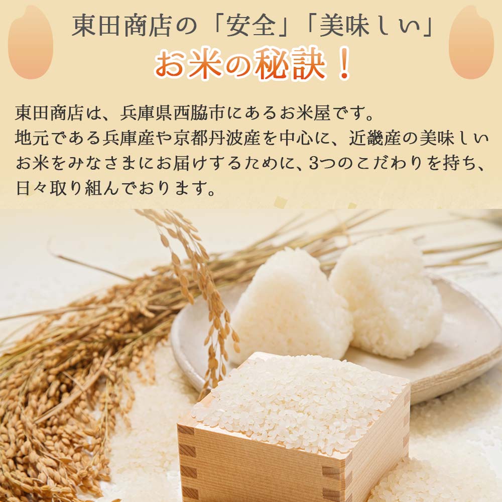 【新米先行予約】【きぬむすめ】令和７年産 白米10kg（10kg×1袋）33-31