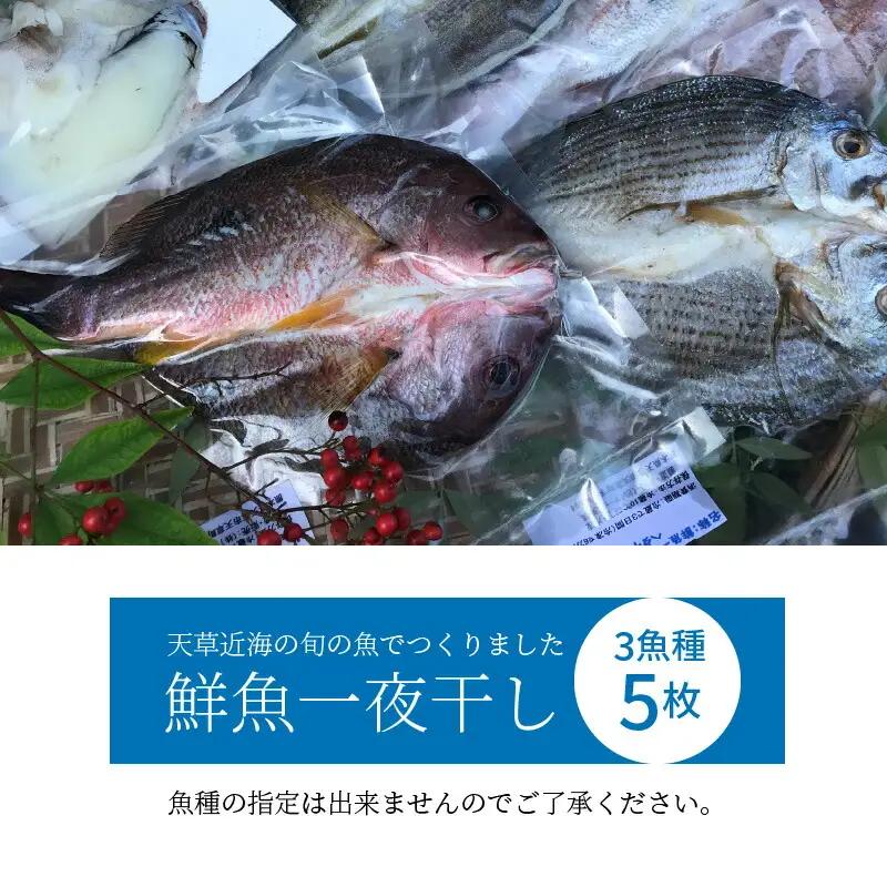 S059-007A_旬の鮮魚一夜干しボックス 3種5枚セット 干物 / 魚 一夜干し 干物