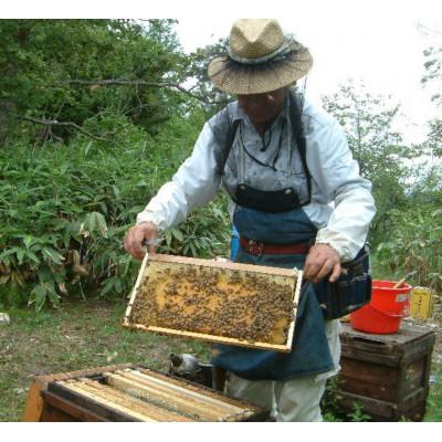 ふるさと納税 九度山町 熊野古道　峠の蜂蜜・みかん蜂蜜 |  | 01