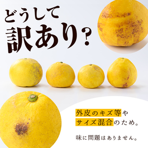 ＜先行予約受付中！2027年2月下旬以降順次発送予定＞＜訳あり・傷あり＞数量限定！サワーポメロ(約7kg) 国産 フルーツ 果物 柑橘類 サワーポメロ 甘味 酸味 デザート おやつ 訳あり【なかむら果