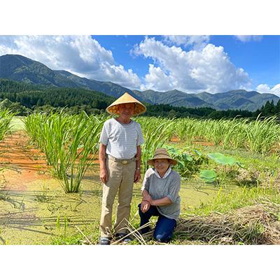 ふるさと納税 最上町 【令和6年産】特別栽培米　蛍たる米コシヒカリ(玄米)5kg |  | 02