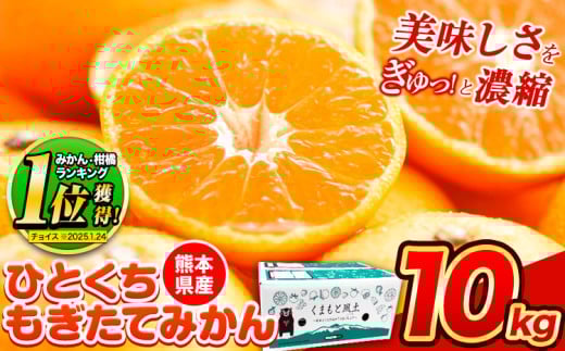 【2025年先行予約】訳あり みかん ひとくちもぎたてみかん 約 10kg (10kg×1箱) S-3Sサイズ 訳あり ご家庭用 熊本県産 （荒尾市産含む） 期間限定 フルーツ 果物 旬 冬 柑橘 小玉 みかん《2025年10月中旬-12月末頃出荷》