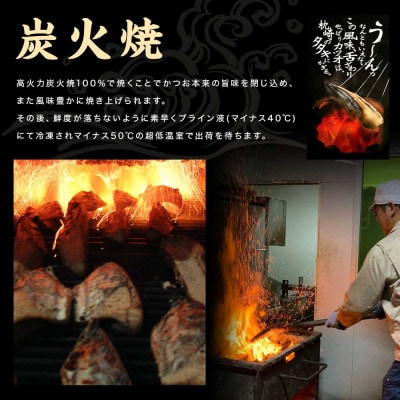 一本釣りゆず香り焼き鰹タタキ800g A0-23【配送不可地域：離島】