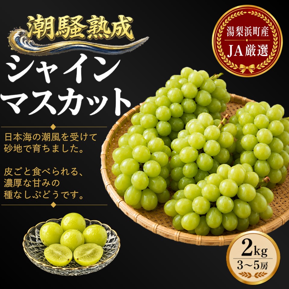 シャインマスカット 2kg 3房 － 5房 潮騒 熟成 ハワイ 種なし | 32M