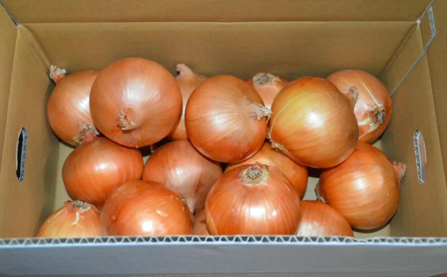 【淡路島の青果屋】【完熟玉ねぎ予約】淡路島産たまねぎ　5kg 甘さに自信!!ほんまもん!!　◆R8.5月末～発送