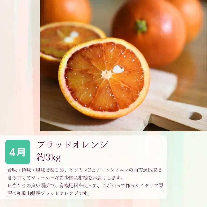 定期便【全3回/2・3・4月】和歌山の春の柑橘 （ポンカン・はるか・ブラッドオレンジ）秀品【tkb452】