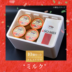 熊本 阿蘇の牧場直送！阿蘇ミルクアイスセット ミルク10個
