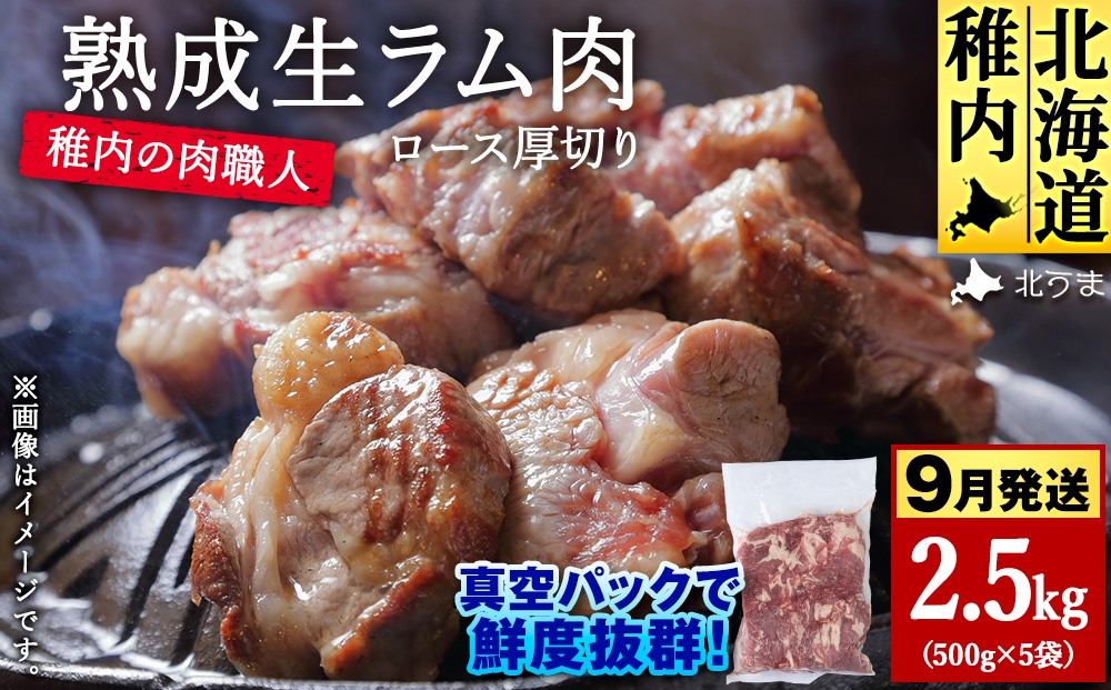 
                  【9月発送】稚内の肉職人 たかみさんの熟成生ラム肉ロース厚切（500g×5）【稚内の肉職人】
                