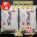 【ふるさと納税】【新米】令和6年産 ひとめぼれ 精米10kg(5kg×2) 宮城県村田町産【1241453】