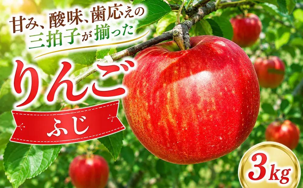 りんご 約3kg（ふじ） ｜JA信州うえだ農業協同組合 長野県 東御市産 ※11月下旬～12月中旬頃に順次発送予定