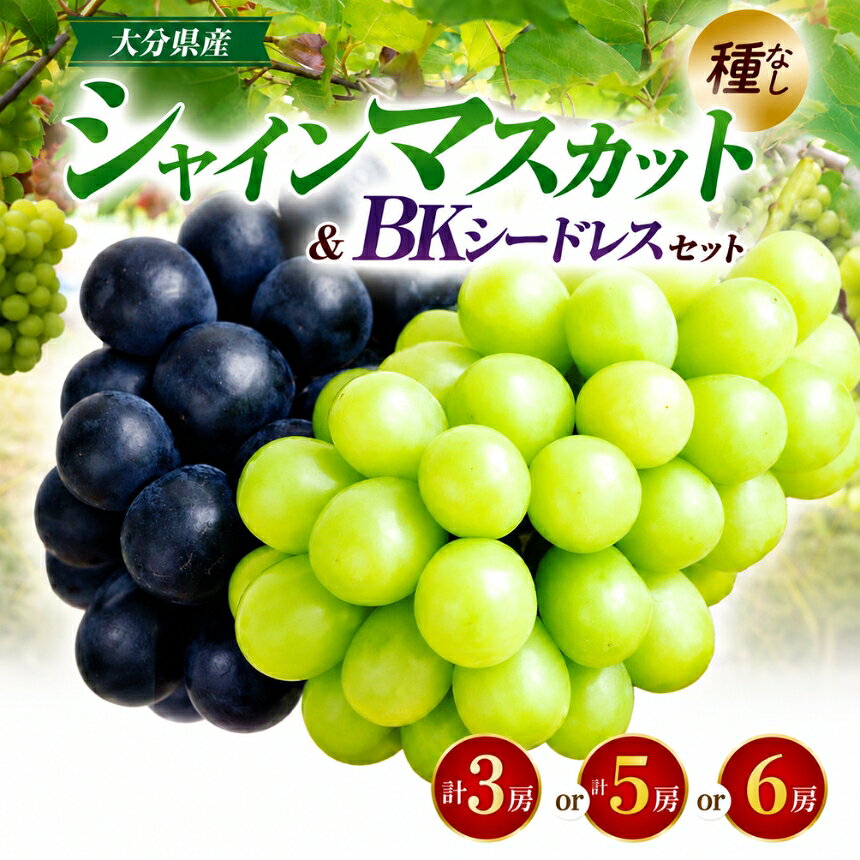 【ふるさと納税】【先行予約】選べる内容量！ シャインマスカット ＆ BKシードレス ぶどう食べ比べセット（約1.8kg・約2.8kg・約4kg）| フルーツ 果物 ブドウ 葡萄 シャインマスカット マスカット 巨峰 種無し 食べ比べ 大分県 中津市【発送は2026年9月〜10月上旬頃を予定】