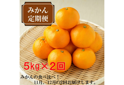 【8011-1】厳選みかん定期便5kg　2回（11月、12月）《先行予約》固定月にお届け予定