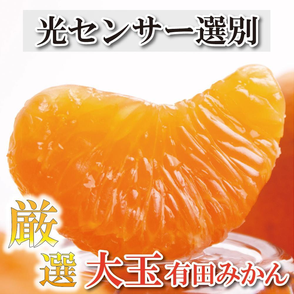 
            ＜11月より発送＞ 厳選 大きな 有田みかん 6.5kg+195g（傷み補償分） 光センサー選果 ［IKE181］
          