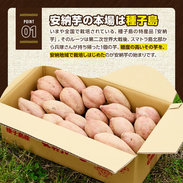 n230 ＜先行予約受付中！2025年10月中旬頃より順次発送予定＞種子島産 安納芋(Sサイズ・10kg) 国産 安納芋 紅 種子島 芋 イモ いも さつまいも さつま芋 安納いも セット 詰め合わせ