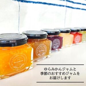 【無添加】和歌山産 季節のジャム8個セット(ゆらみかんジャム+季節のおすすめジャム)【1493775】