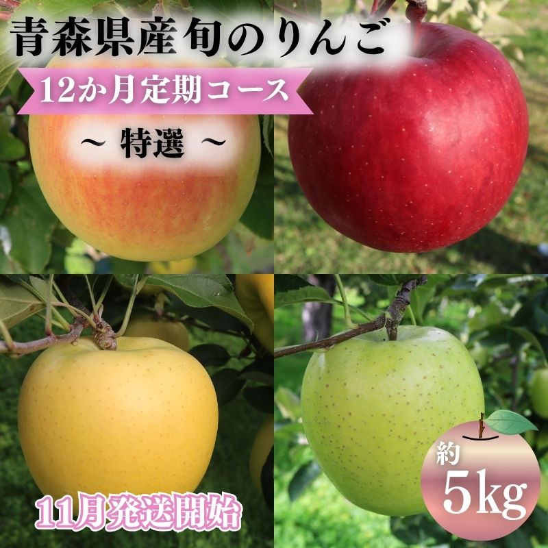 【2026年11月発送】青森県産 りんご 12ヶ月定期便 約5kg 特選 1年間品種リレー 食べ比べセット 毎月配送 青森りんご 林檎 フルーツ 平川市