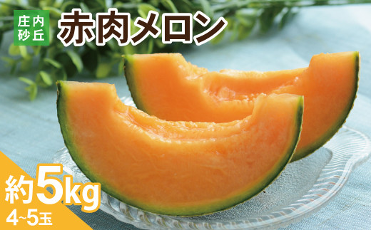 
            SA2636　多右ェ門ファームの赤肉メロン(レノンウェーブ)　約5kg(4～5玉入)
          