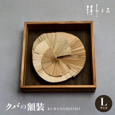 ふるさと納税 伊平屋村 クバの額装KUBANOHOSHI(黒木目)Lサイズ