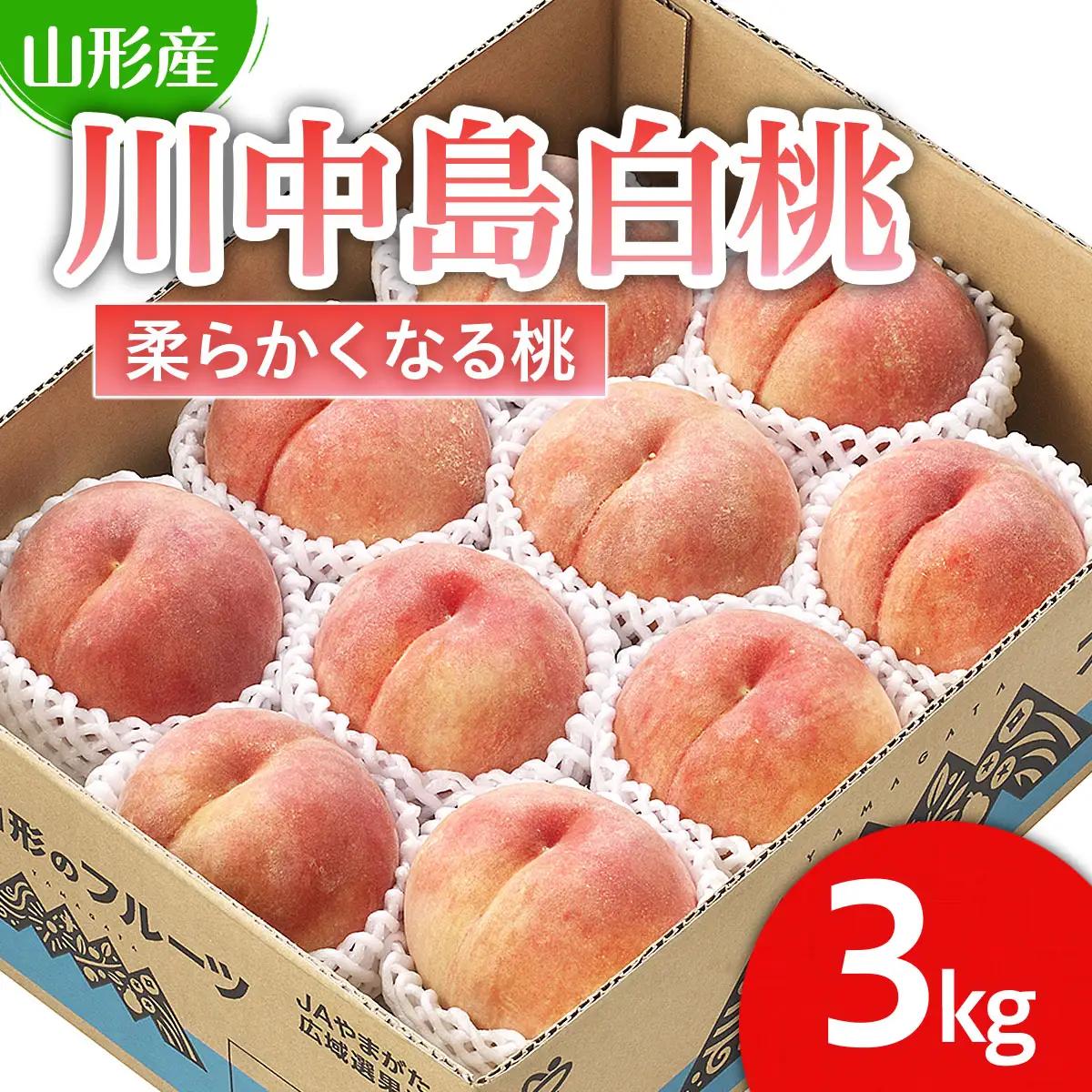 山形市産 桃「川中島白桃」 秀以上 3kg(8玉～11玉)[柔らかくなる桃] 【令和8年産先行予約】FS25-727 くだもの 果物 フルーツ 山形 山形県 山形市 人気 2026年産