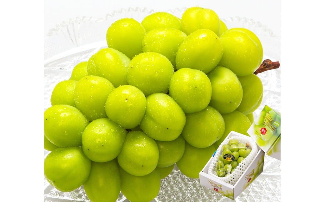 岡山県産 シャインマスカット『晴王』1房 （700g以上） 化粧箱入り 【2026年8月下旬-10月上旬迄発送予定】／ マスカット 葡萄 ぶどう 果物 果実 フルーツ 岡山県 美咲町 冷蔵