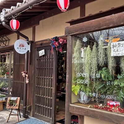 ふるさと納税 安芸高田市 神楽グッズ 蜘蛛 6個入り[No5895-0768] |  | 01