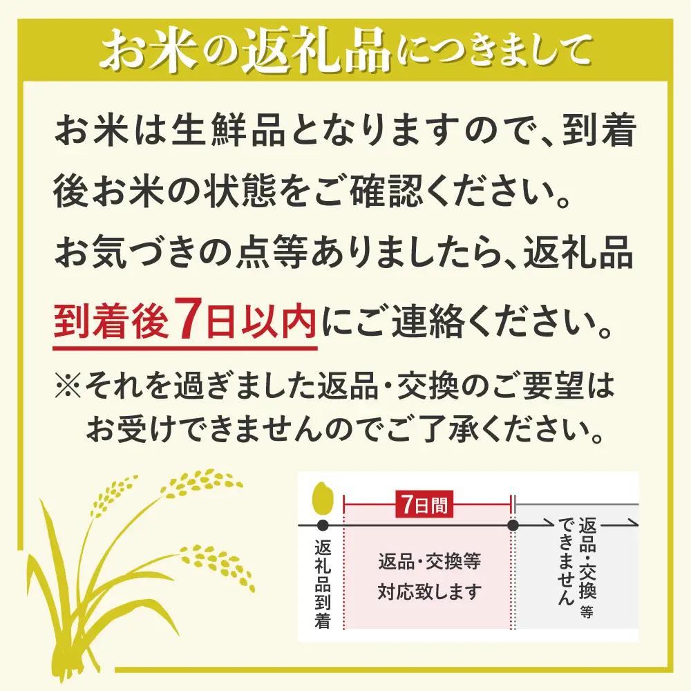 令和8年産 コシヒカリ白米 3kg / 米 新米 こしひかり ソイル