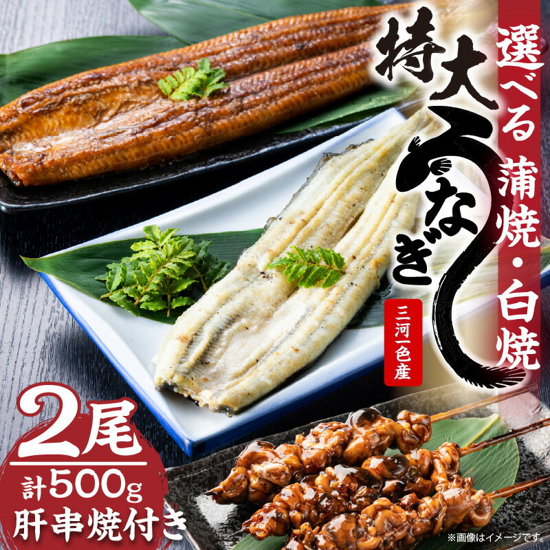 【ふるさと納税】【蒲焼・白焼組合せ自由】三河一色産 最高級 うなぎセット 特大2尾 【計500g】【冷蔵配送】タレ付 お吸い物付 国産 うなぎ 愛知県産 一色 鰻 蒲焼 白焼 特大 串焼き 高級鰻 冷蔵配送 送料無料
