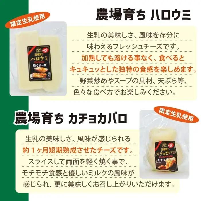 小岩井農場 小岩井純良バター 復刻版ラベル & ナチュラルチーズ セット ／ ギフト 贈答用 本格派 バター チーズ 食べ比べ ヨーロッパタイプ 熟成チーズ フレッシュチーズ カチョカバロ ハロウミ 