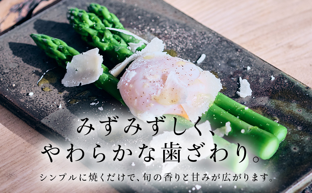 スロウ（膝掛け）ダークグレー　1枚